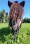 Tavoitteena tulevaisuus - LYHYT TOIMINTAKERTOMUS VUOSISUUNNITELMA 2024-2025 & 2025-2026 - Himaharju