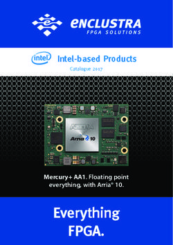 Intel-based Products - Enclustra Catalogue 2017