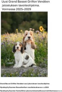Uusi Grand Basset Griffon Vend&eacute;en jalostuksen tavoiteohjelma. Voimassa 2025-2029